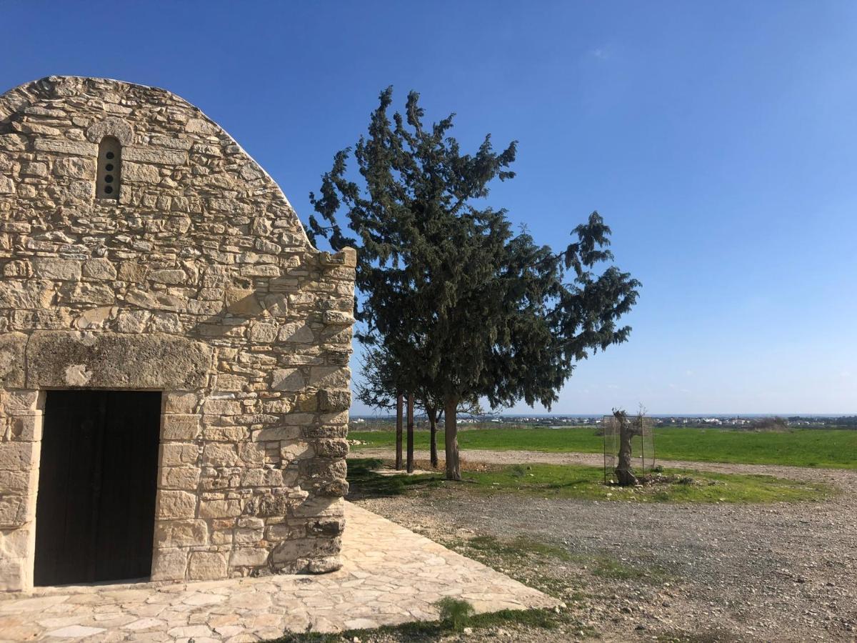 Tranquil Country Condo Larnaca Luaran gambar