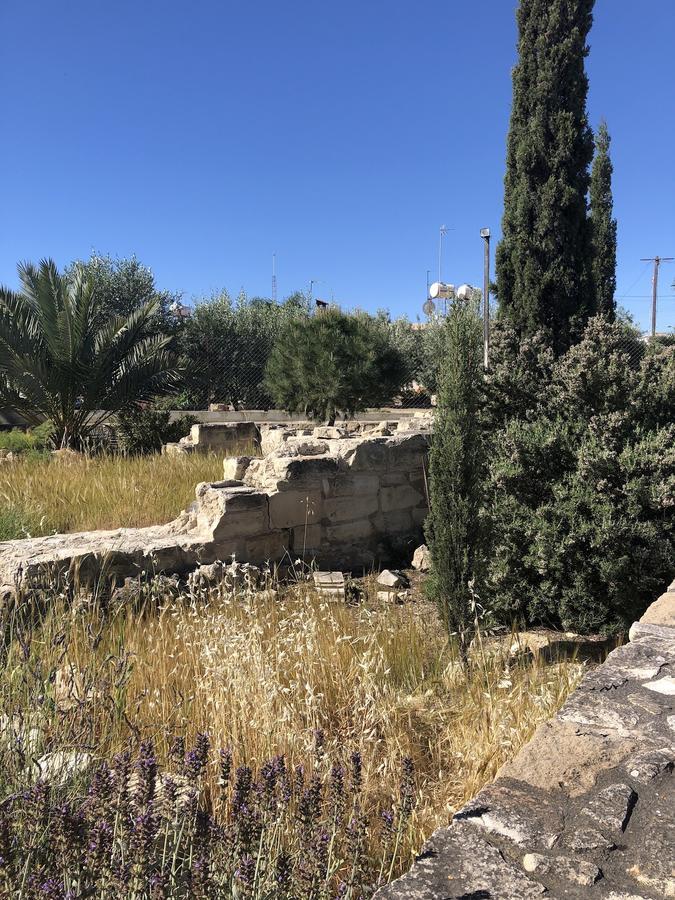 Tranquil Country Condo Larnaca Luaran gambar
