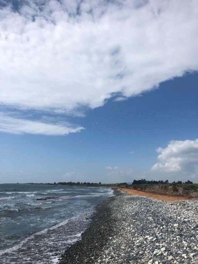 Tranquil Country Condo Larnaca Luaran gambar